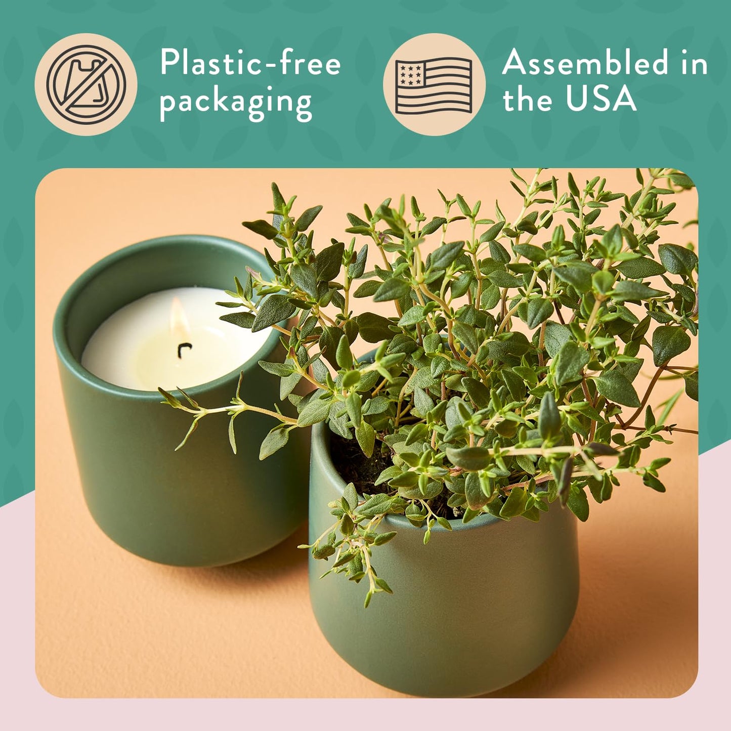 Modern Sprout - 2 in 1 Tonka Bean Scented & Soy Candle with Seeds that Grows into Thyme Plant - 6 oz w/ 42 hr Burn time in Matte Glaze Ceramic Vessel Ideal for Indoor Herb Garden