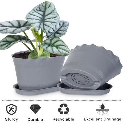 Oliz Herb Planter Pots 6 Pcs, Window Box Planter Flower Plants Pots for Succulent Cactus Flower with Trays, for Home Garden Kitchen Decor (Grey)