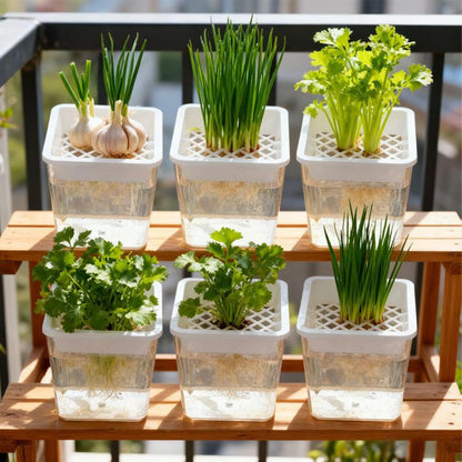 Plant Pot - Transparent Plant Containers - Hydroponic Containers - for Semi-Hydro Cuttings Seedlings African Violets Balcony Desk Garden Porch Windowsill Bedroom Living Room Yard