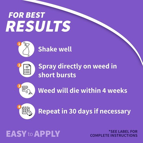 Bonide Poison Oak & Ivy Killer - Fast-Acting 32 oz Ready-to-Use Spray for Effective Home Gardening