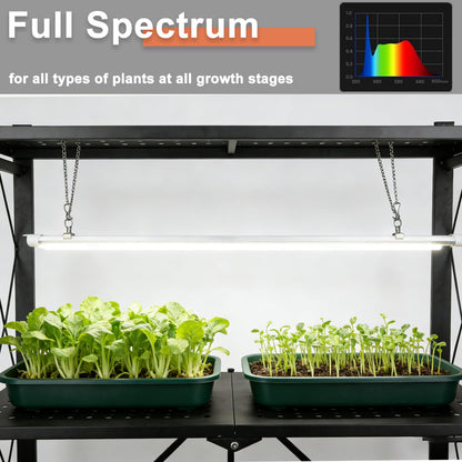 Nedechom Indoor Greenhouse with Grow Light, 4-Tier Foldable Metal Plant Shelf with Full Spectrum 6000K Growing Lamps and Tent, Mini Greenhouse Cabinet with Timer for Seed Starting (28.2"x14.2"x50")