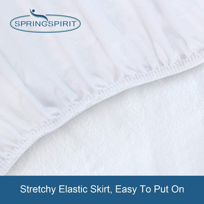 Skiennix Queen Mattress Protector - Waterproof & Absorbent Terry Cover | Fitted for 18'' Mattresses