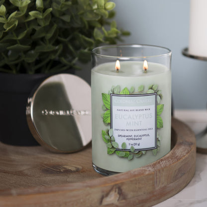 Colonial Candle Eucalyptus Mint Scented Jar Candle, Classic Cylinders Collection, 2 Wick, Green, 11 oz - Up to 80 Hours Burn
