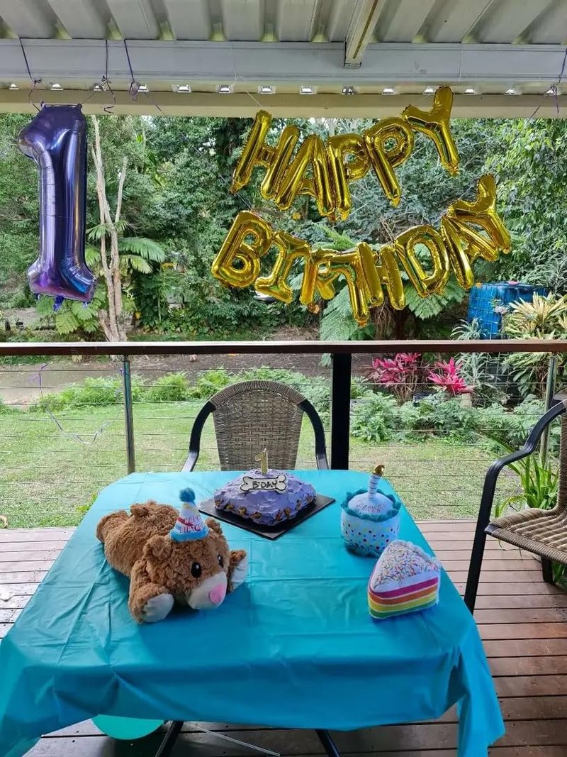 Purple Number 14 Balloon 40 Inch, 14th Birthday Party Decorations for Children, Giant 14 Foil Balloon for Party Supplies
