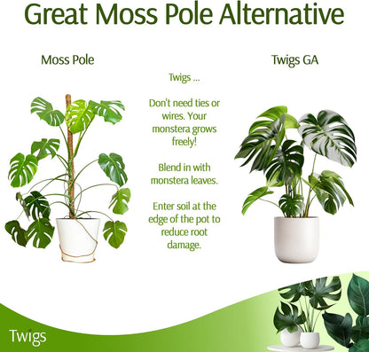Twigs GA - Stackable Monstera Plant Support Stakes | Climbing Support for Indoor & Outdoor Use - 17" L, 5 Pack