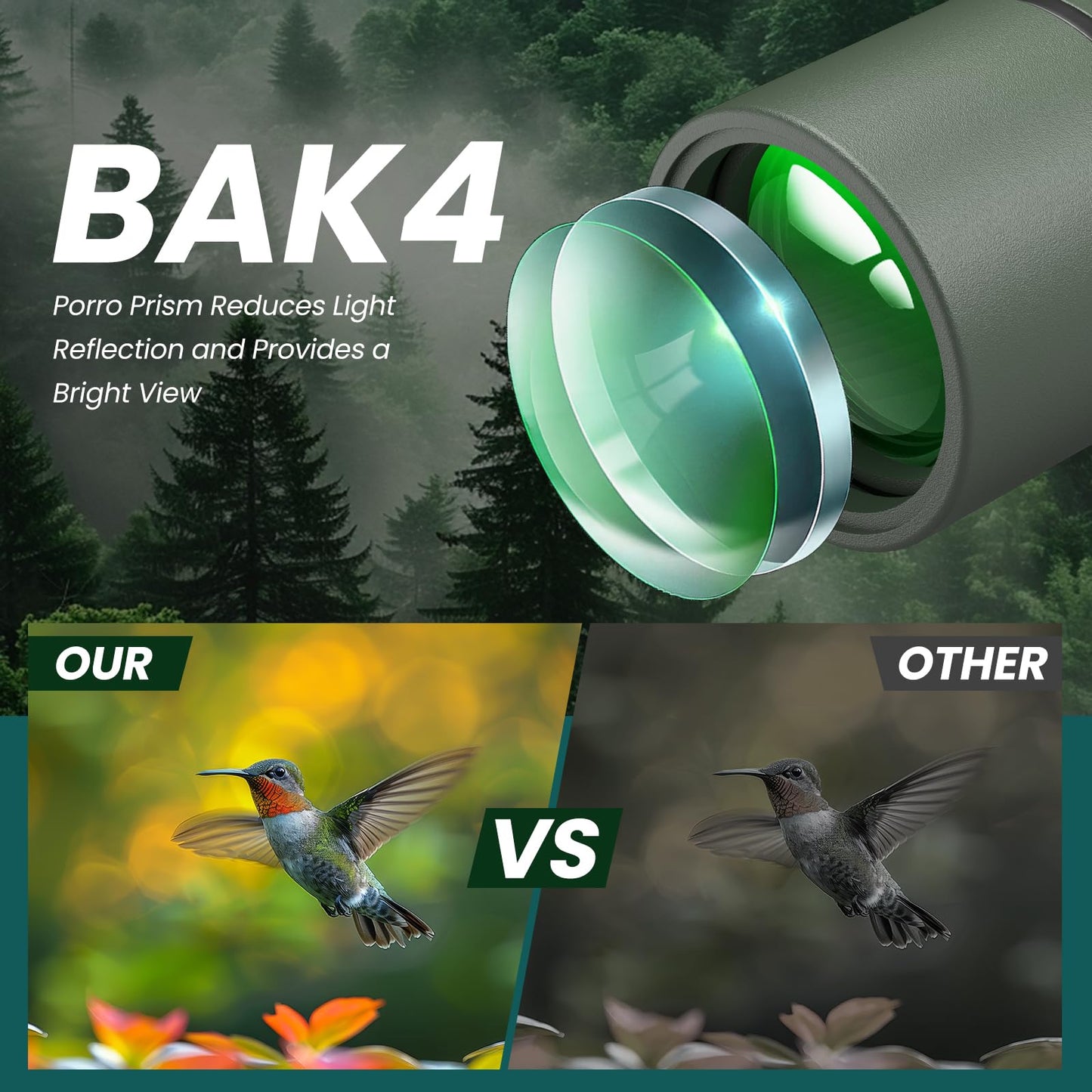 25-75x85 Spotting Scope with ED Glass, Phone Adapter, Tripod & Carrying Bag - Fully Multi-Coated BAK4 Waterproof Zoom Spotter Scope for Bird Watching, Wildlife Viewing, Hunting (Green)