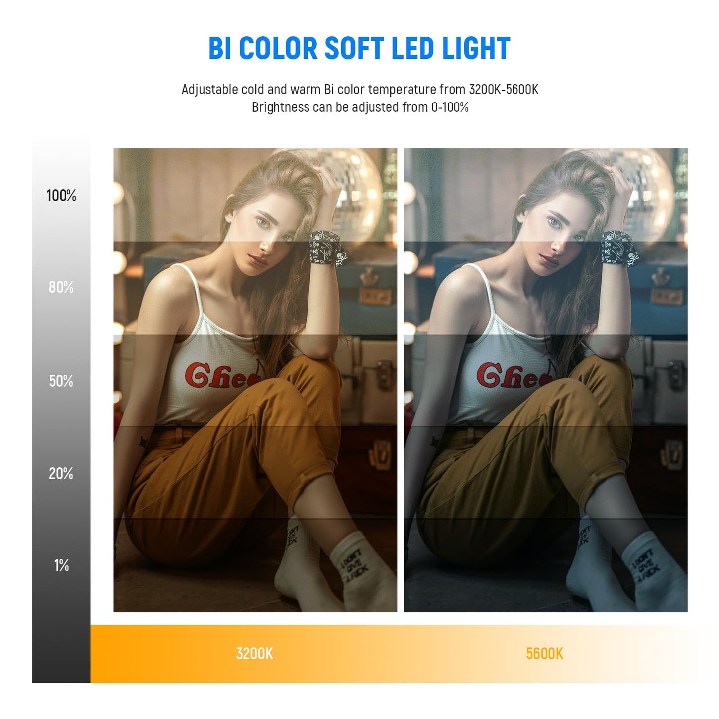 NEEWER 13" LED Video Light Panel Kit, 2 Pack Bi Color Dimmable with Tripod Stand, 4000mAh Battery, 3200K-5600K CRI97+, USB, for Studio/Streaming/YouTube, Black, NL-192AI