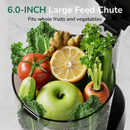 Canoly C16 Cold Press Juicer - 6" Extra Wide Feed Chute, 3-IN-1 Strainers for Juice, Sorbet & Nut Milk | Powerful AC Motor, BPA-Free (Space Gray)