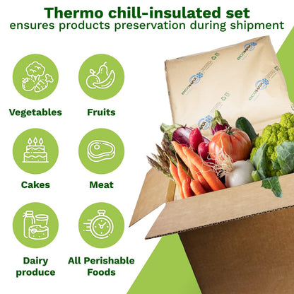 IDL Packaging 10" x 10" x 10" Insulated Shipping Box, 1.5-Gallon Capacity, Pack of 6 - Includes EcoMax™ Thermal-Paper Liners, Absorb Condensation - For Frozen Food, Meat, or Fish