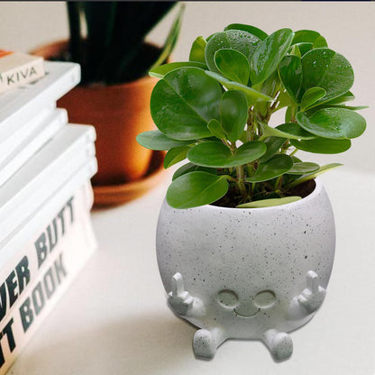 Toparad Smiling Plant Pot with Middle Fingers Up, Face Planter Pot Resin Flower Planters for Indoor Outdoor Plants Succulent Pots for String of Pearls Plant Live Gift Ideas for Mother (White)