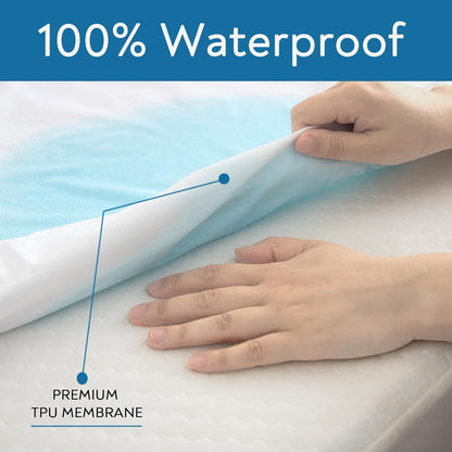 Skiennix Queen Mattress Protector - Waterproof & Absorbent Terry Cover | Fitted for 18'' Mattresses