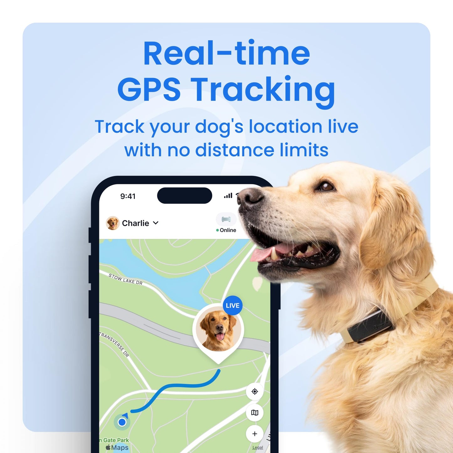 Tractive Smart Dog GPS Collar | Live Pet Tracker with Virtual Fence | Vital Signs Monitoring of Heart & Respiratory Rate | Bark Monitoring | LED Dog Collar (Blue, Medium)