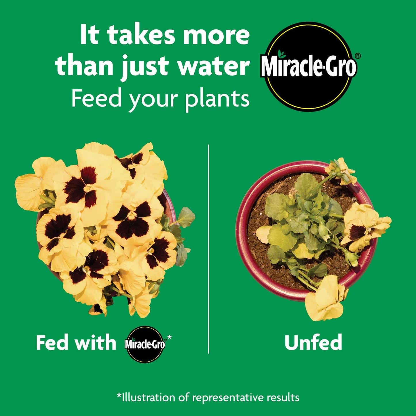 Miracle-Gro Shake 'N Feed All Purpose Plant Food - 8 lbs for Indoor & Outdoor Plants, Feeds for 3 Months