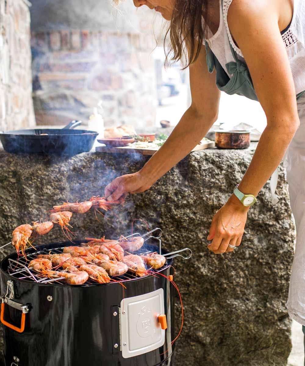 ProQ BBQ Smoker (Frontier V4) - 4in1 Charcoal Meat Smoker BBQ - Outdoor Smokers and Grills - BBQ with Smoker