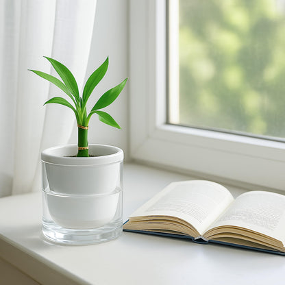 D'vine Dev 4 Inch Design Self Watering Planter for Indoor Plants, White Terracotta Pots with Cylinder Glass Cup, 37-X-A-2