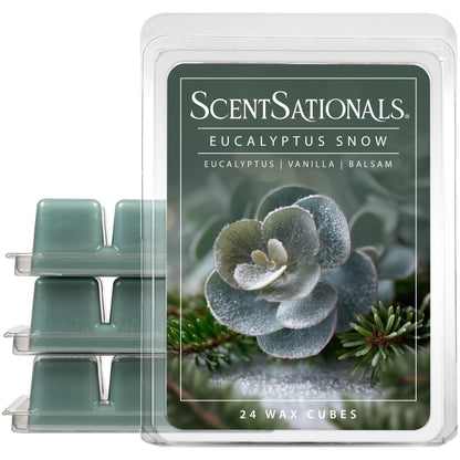 Scentsationals Eucalyptus Snow Scented Wax Melts - Eucalyptus, Vanilla, & Balsam, 10oz (24 Cubes)