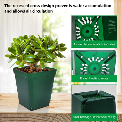 RooTrimmer Square Nursery Seedling Pot 3.5 Inches 90 Pcs, Small Nursery Pot Plastic Thick and Sturdy Seed Start Germination Pot for Plant Propagation and Seeding(Green,3.54 Inches, 90Pcs)
