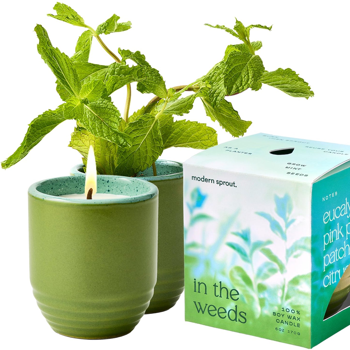 Modern Sprout - 2-in-1 Soy Candle & Planter - in The Weeds (Eucalyptus, Pink Pepper, Patchouli, Citrus) 6 Oz Scented Candle w/Mint Seeds - Ceramic Vessel Dual Purpose Jar - 38-40 Hour Burn