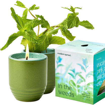 Modern Sprout - 2-in-1 Soy Candle & Planter - in The Weeds (Eucalyptus, Pink Pepper, Patchouli, Citrus) 6 Oz Scented Candle w/Mint Seeds - Ceramic Vessel Dual Purpose Jar - 38-40 Hour Burn