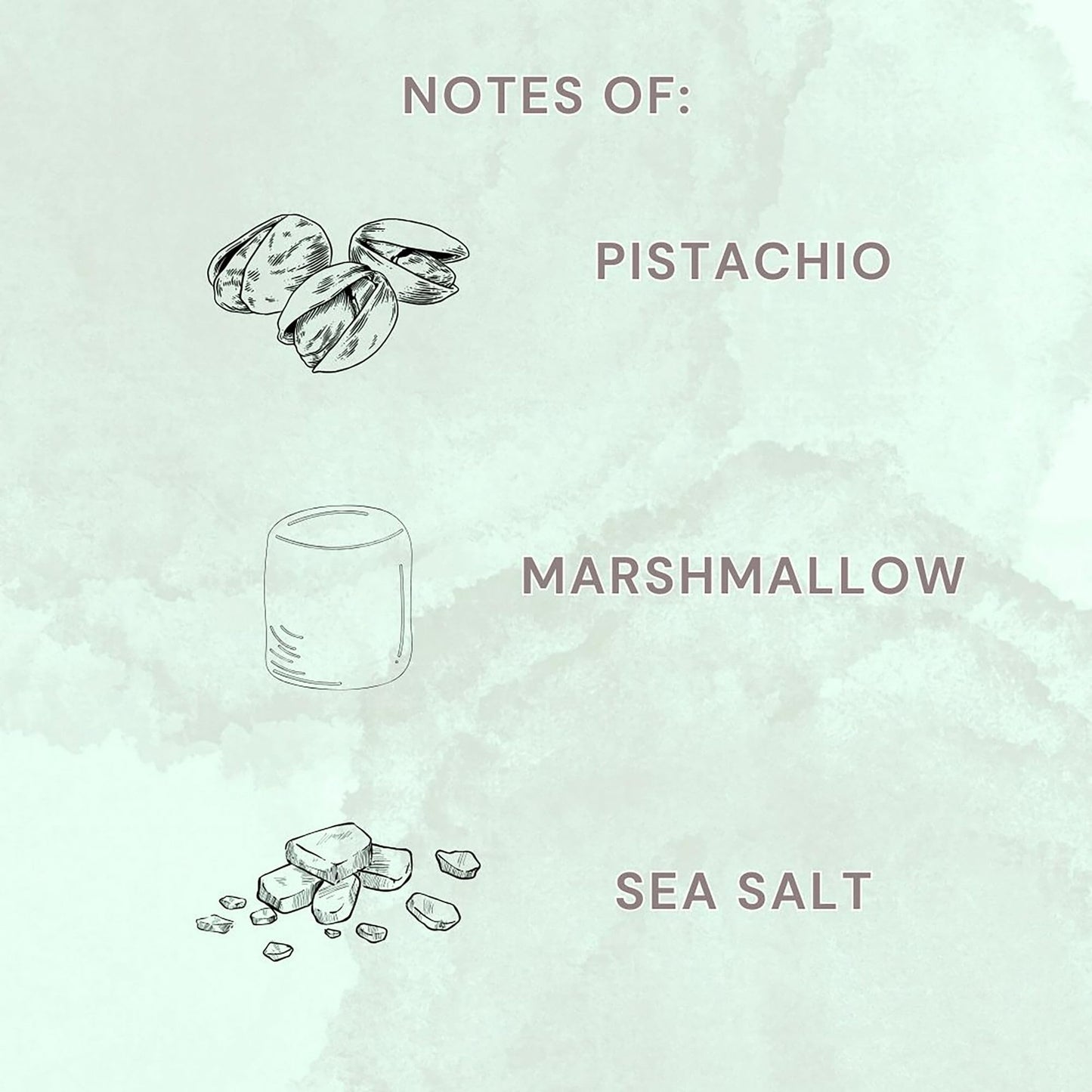 Scented 2-Wick 15oz Spa Jar Candle (Savor (Pistachio + Marshmallow + Sea Salt))