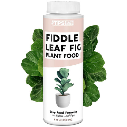 Skiennix Fiddle Leaf Fig Plant Food - Liquid Nutrient for Bigger Leaves & Stronger Roots | 8 oz