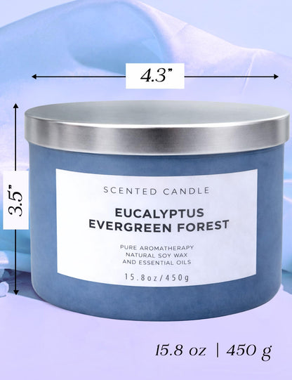 Eucalyptus Evergreen Forest 3-Wick Soy Candle | 15.8 oz Large Scented Candle for Home | Clean Burn Long Lasting | Balsam Fir Fresh Forest Scent | Gift Ready