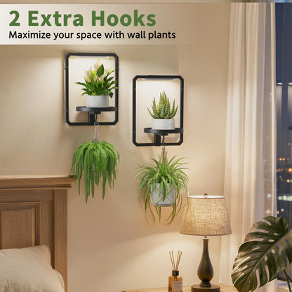 LASZOLA Plant Hangers Holder Wall Mount Indoor Window with 2 Grow Light, 2 Pack Floating Flower Stand Shelf with Hooks, Metal Picture Frame Hanging Planter Display Decor for Kitchen Bathroom, Black