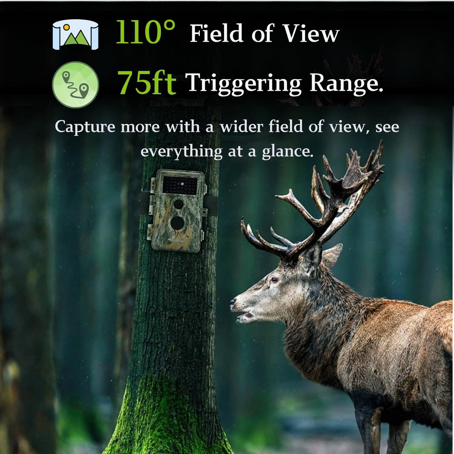 BLAZEVIDEO 2-Pack Trail Camera 64MP 1296P Video, 940nm No-Glow Night Vision, 70° Focused PIR Detection (Fewer False Alerts), 0.3s Trigger Motion Activated IP66 Waterproof Game Cam for Wildlife & Yard