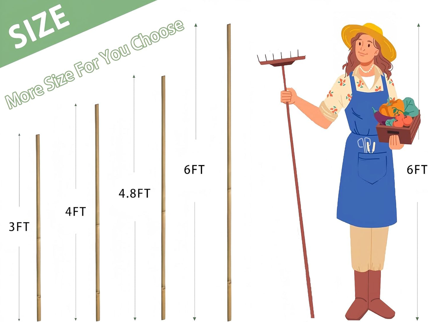 Bamboo Garden Stakes - 4 Feet Tall | 65 Pcs Durable Plant Supports for Tomatoes, Beans & Flowers