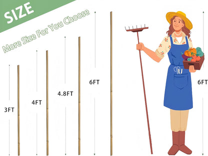 Bamboo Garden Stakes - 4 Feet Tall | 65 Pcs Durable Plant Supports for Tomatoes, Beans & Flowers