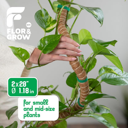 Monstera Plant Support Stakes - 28" Sturdy Moss Poles for Indoor Climbing Plants | 2 Pack