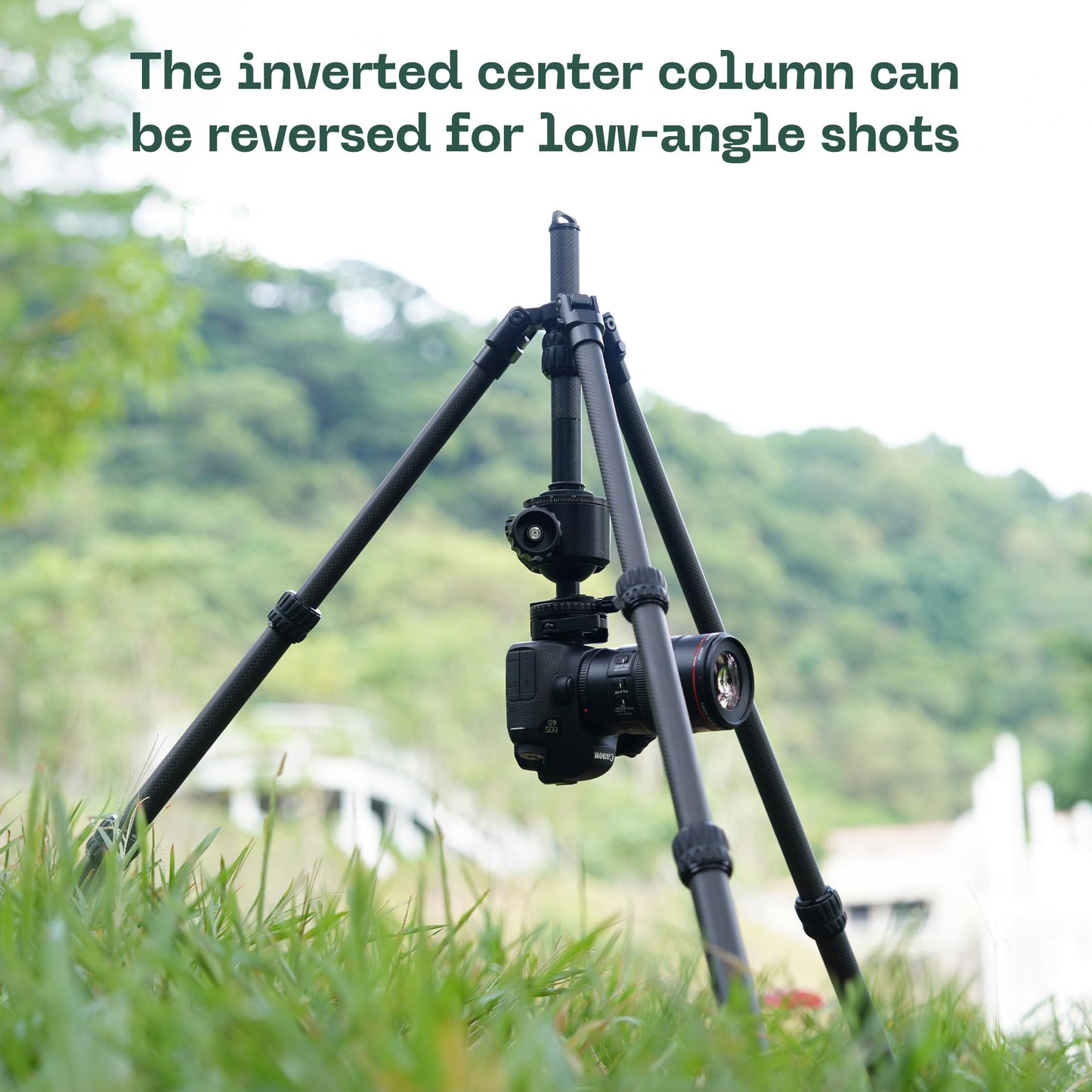 FANAUE Tripod for Binoculars Telescope, 42" Carbon Fiber Spotting Scopes Tripods Stand with 1/4" and 3/8" Thread,Camera Tripod with Reversible Center Column for DSLR