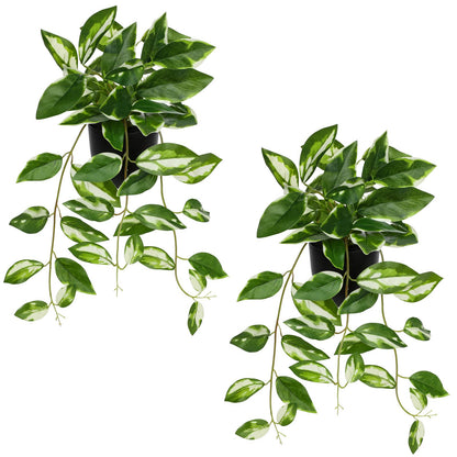 Briful Small Fake Plants Indoor (Set of 2) Realistic Faux Trailing Plant Artificial Potted Plants in Black Pot White N' Joy Leaf Houseplant for Living Room Table Kitchen Counter Shelf