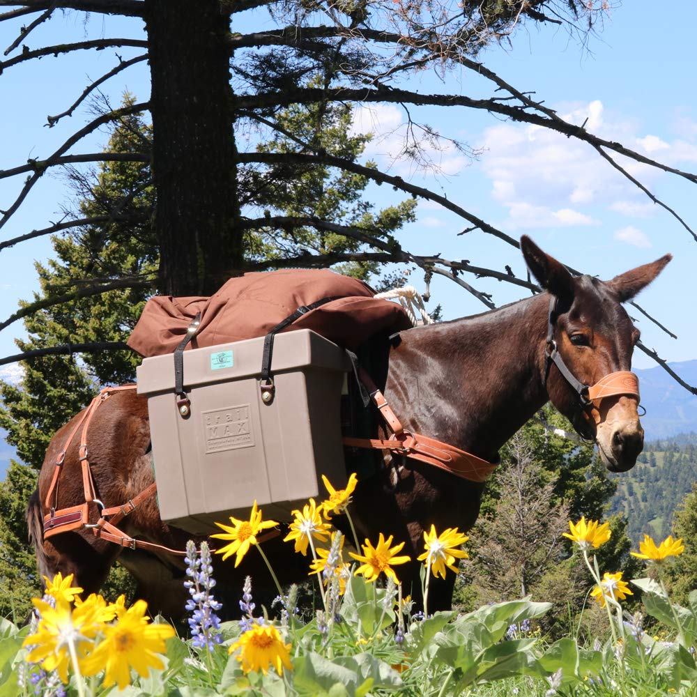 TrailMax Bear-Resistant Pack Pannier, SOLD INDIVIDUALLY, Use 2 on a Pack Saddle or Use as a Single in Camp, Keeps Food & Gear Safe from Predators, Hard Resin Polyethylene - USFS and IGBC Approved