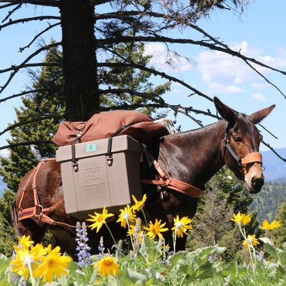 TrailMax Bear-Resistant Pack Pannier, SOLD INDIVIDUALLY, Use 2 on a Pack Saddle or Use as a Single in Camp, Keeps Food & Gear Safe from Predators, Hard Resin Polyethylene - USFS and IGBC Approved