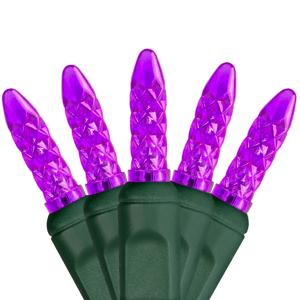 Wintergreen Lighting 24 ft M5 LED Purple Halloween Lights, 70 Count, Indoor/Outdoor, Commercial Grade, Green Wire