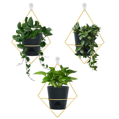 Koalaime 3 Sets Wall Planters for Indoor Plants Geometric Hanging Planters for Indoor Plants - Self-Watering Flower Pots with Black Metal Holder, Mounted Succulent Planter, 5" Black Plant Pot