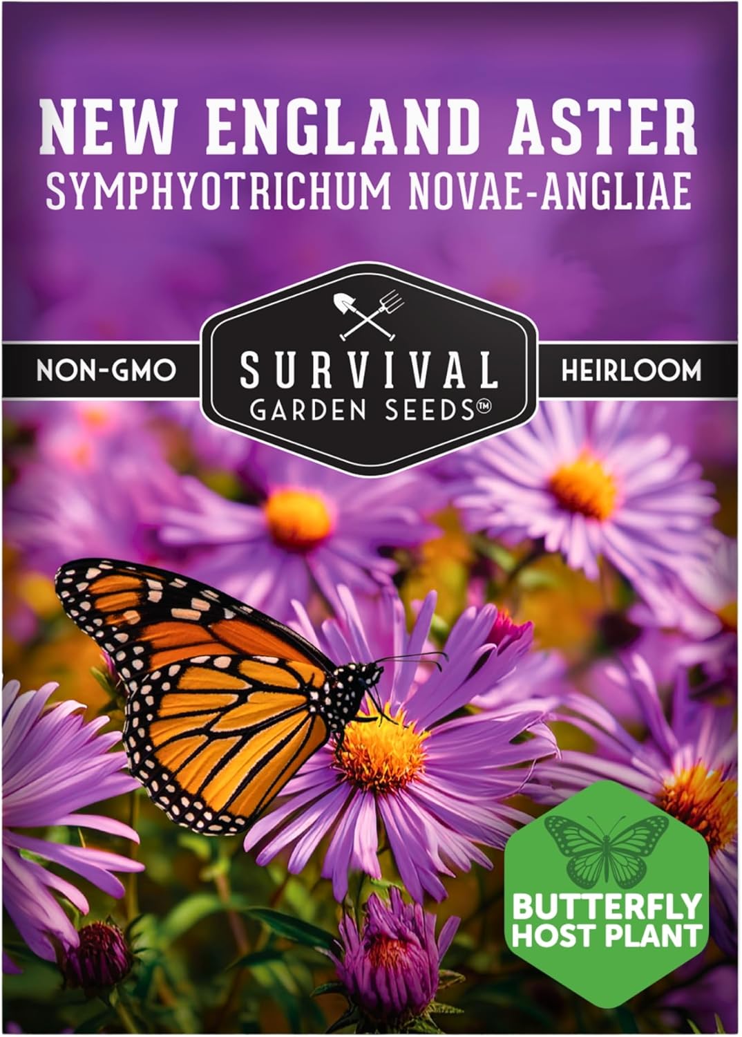 Survival Garden Seeds - New England Aster Seeds | Native Purple Perennial Wildflower | Attract Butterflies | 1 Pack