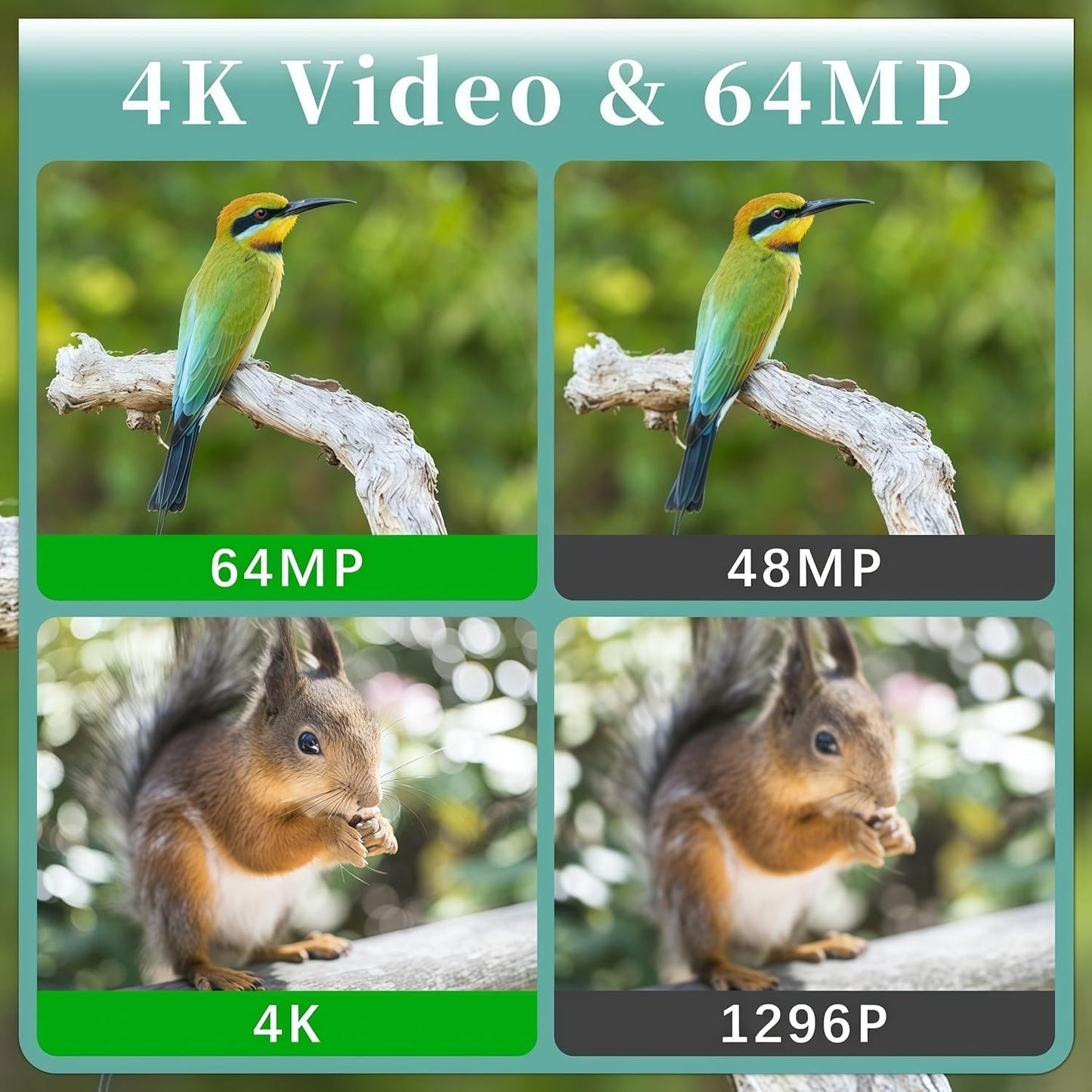 BLAZEVIDEO 2 Pack Trail Camera 4K 64MP WiFi Bluetooth with No Glow Night Vision, 90ft Infrared Game Cam Motion Activated 0.1S Trigger, IP66 Waterproof for Wildlife Deer Scouting, Outdoor Home Security