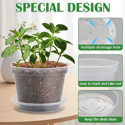 Skiennix 8-Inch Clear Nursery Pots - Sturdy Plastic Plant Pots with Drainage Holes | 7-Pack for Succulents & Herbs
