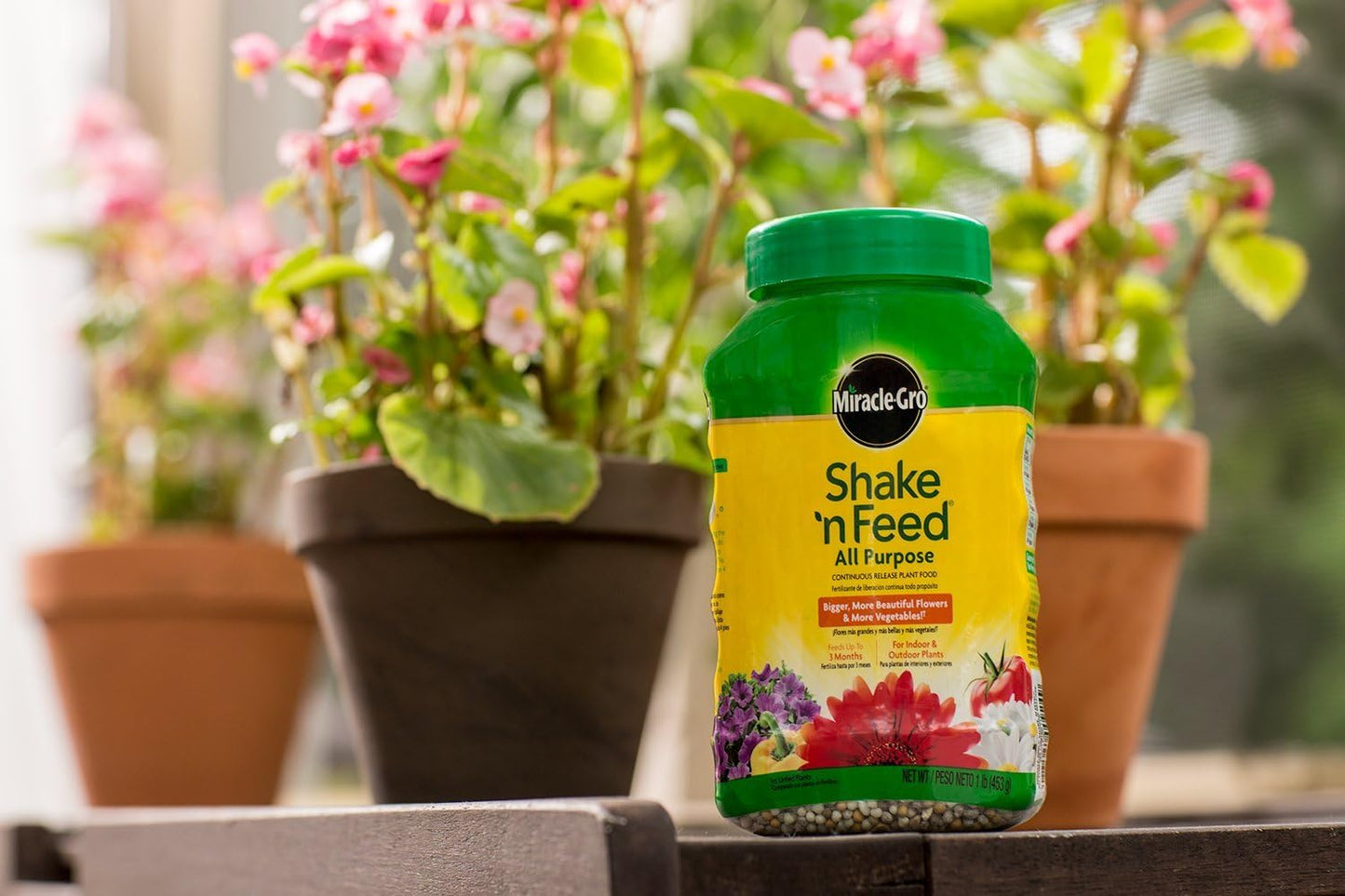 Miracle-Gro Shake 'n Feed Plant Food - All Purpose Continuous Release Fertilizer, 1 lb
