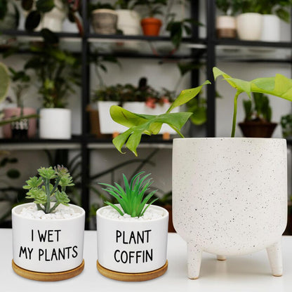 Rojuna 12 Pcs Funny Succulent Pots with Bamboo Tray White Ceramic Aloe Cactus Plant Pots Funny Plant Pots for Women Coworker Employee