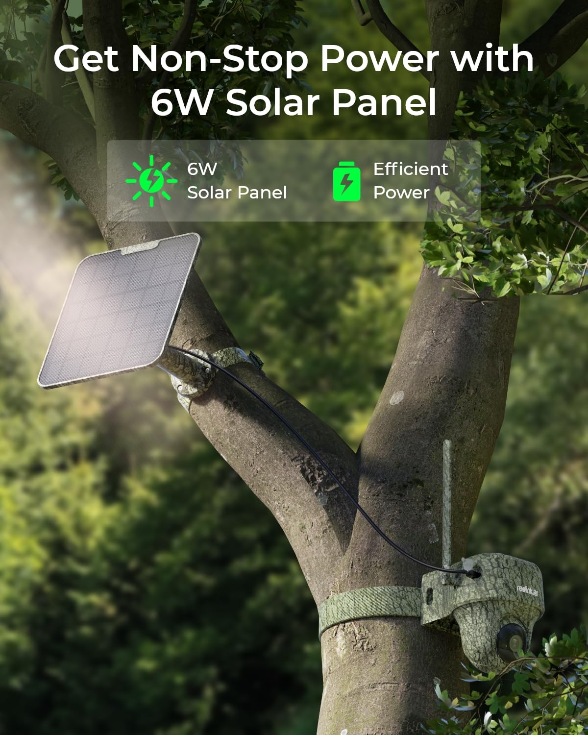 REOLINK 4K Cellular Trail Camera, 3G/4G LTE 360° True Security Camera Wireless Outdoor, Animal Recognition, No-Glow IR, Smart Motion Activated, 32GB SD+SIM Card Included, Go Ranger PT+Solar Panel 2