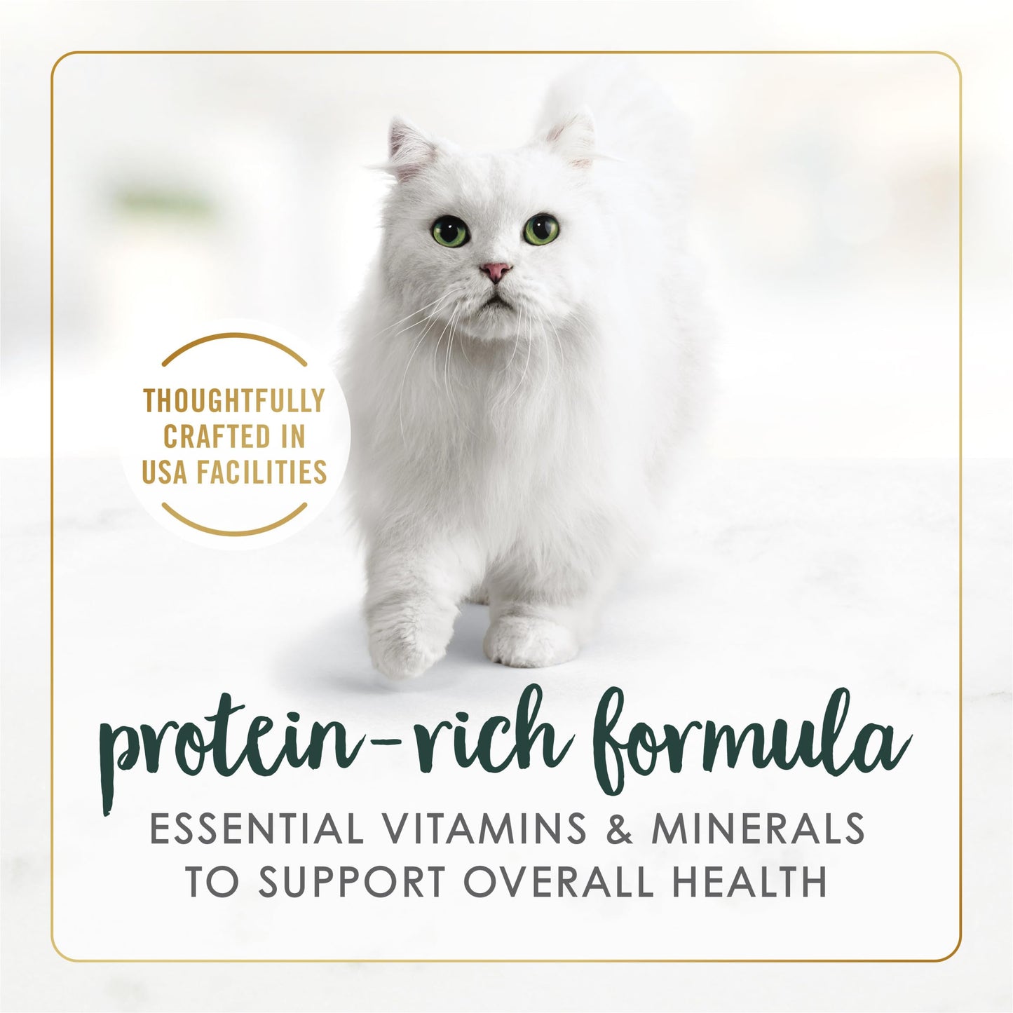 Purina Fancy Feast Senior Wet Cat Food 7 Years Plus Chicken Feast in Gravy Minced - (Pack of 24) 3 oz. Cans
