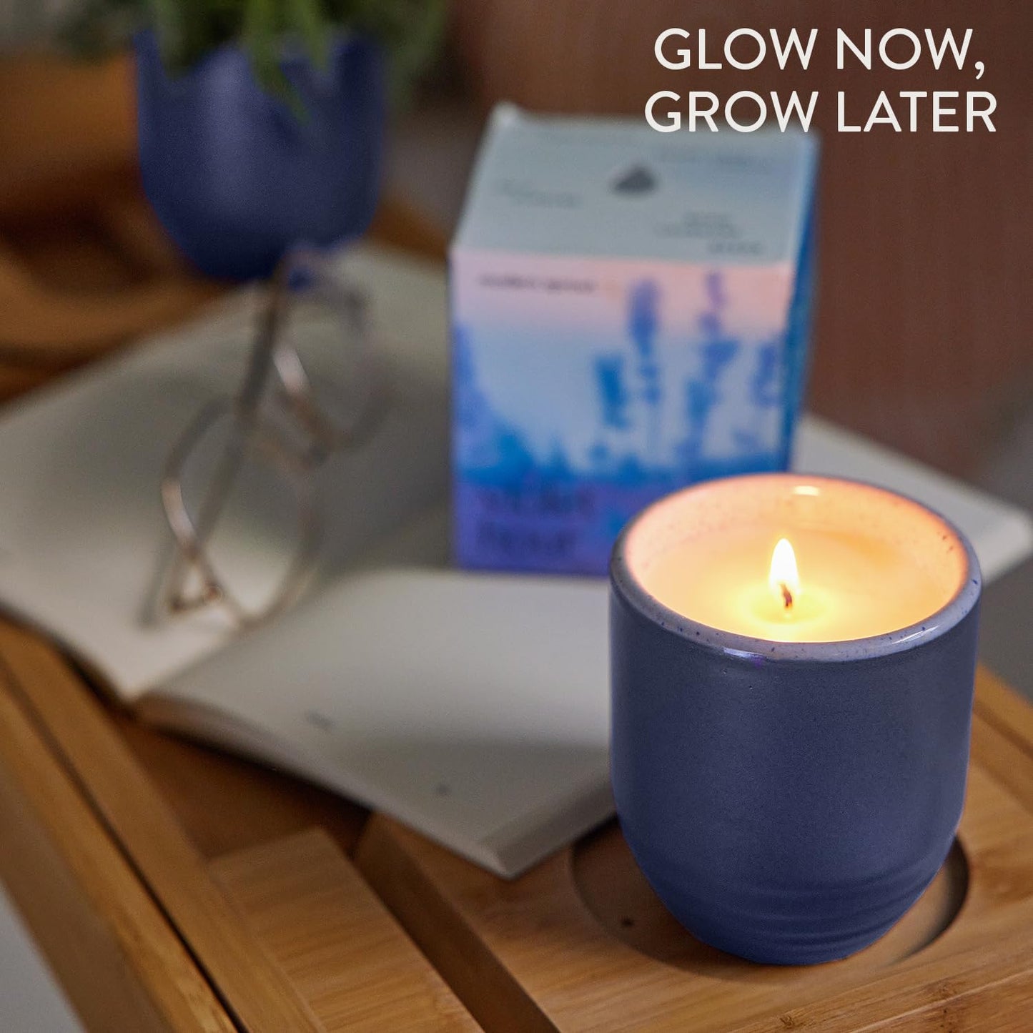 Modern Sprout - 2-in-1 Soy Candle & Planter - Violet Hour (Lavender, Grape Soda, Wild Iris, Violet) 6 Oz Scented Candle w/Lavender Seeds - Ceramic Vessel Dual Purpose Jar - 38-40 Hour Burn