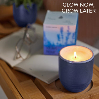 Modern Sprout - 2-in-1 Soy Candle & Planter - Violet Hour (Lavender, Grape Soda, Wild Iris, Violet) 6 Oz Scented Candle w/Lavender Seeds - Ceramic Vessel Dual Purpose Jar - 38-40 Hour Burn