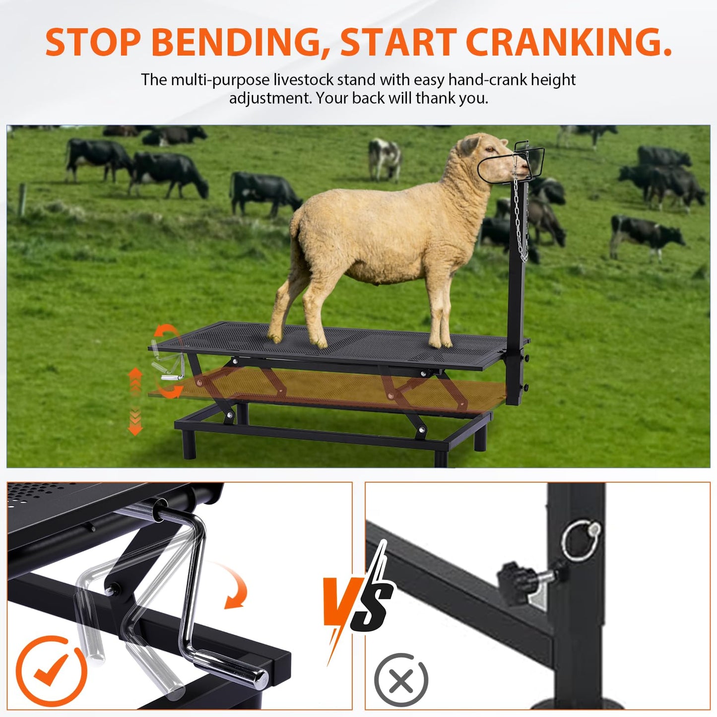 GTPLAYER Goat Milking Stand with Hand Crank,Wheels – 48"x23" Adjustable Headpiece & Height, for Grooming, Milking, Hoof Trimming, Heavy Duty Metal Sheep/Goat Stand, 500 LB Capacity Dark-Black