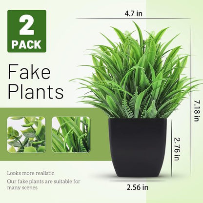 Der Rose Artificial Potted Plants - 2 Pack Small Faux Greenery for Home & Office Decor