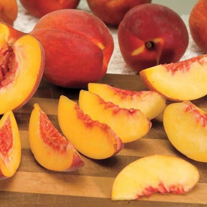 5+ Nemaguard Peach Fruit Tree Seeds for Planting Outdoor - Perennial Fruit Seeds Peach Tree Seeds Non GMO & Heirloom Seeds