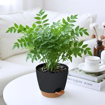 Carsapro 5-Pack Plant Pots with Drainage 7/6.5/6/5.5/5 Inch, Self Watering Pots for Indoor Plants, Planters for Indoor Outdoor Plants, Plastic Flower Pot, Planter for Indoor Outdoor (Black)